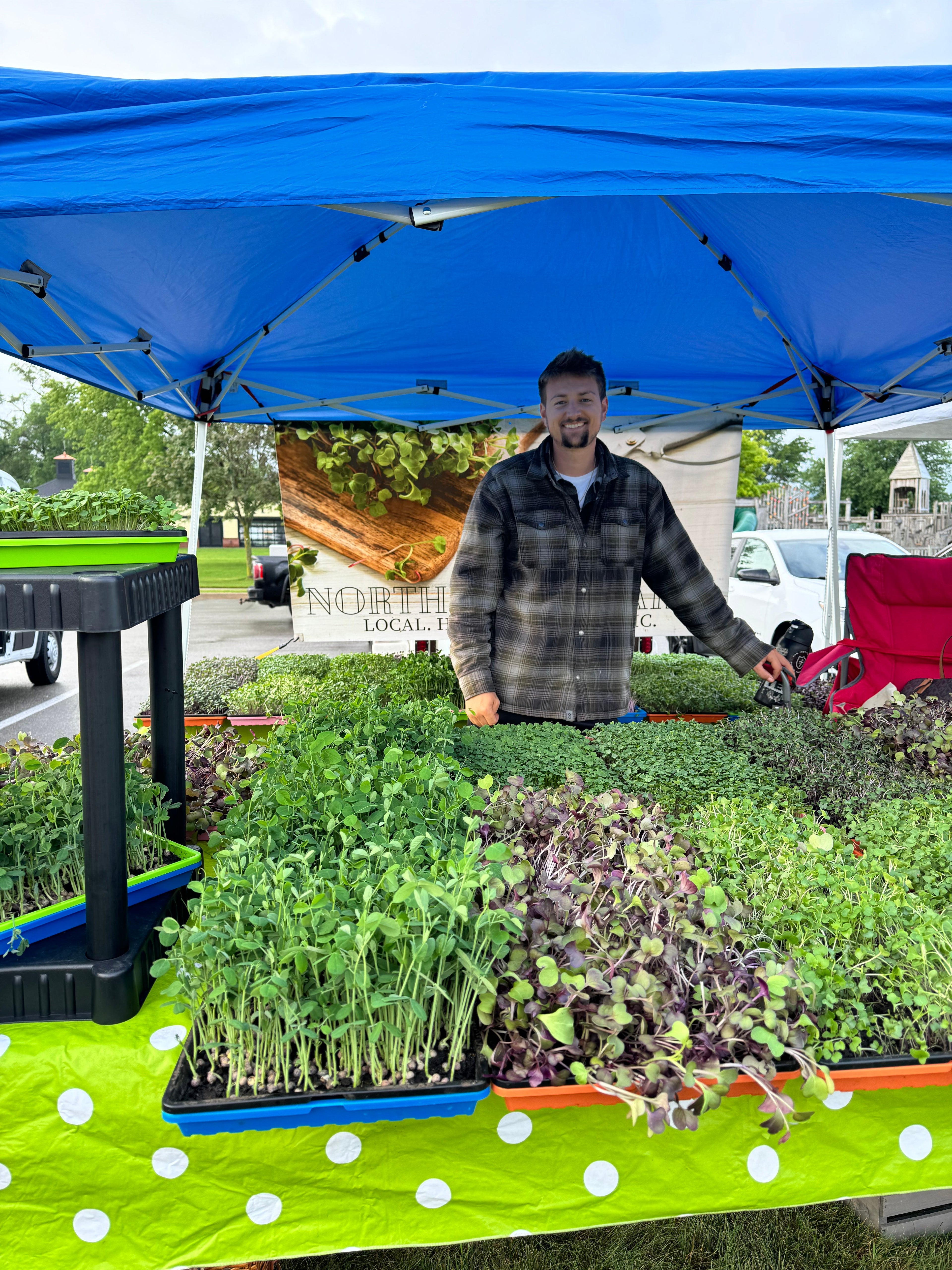 Teaching My Generation the Skills of Old: Growing Food, Cooking From Scratch, & Shopping without Chemicals
