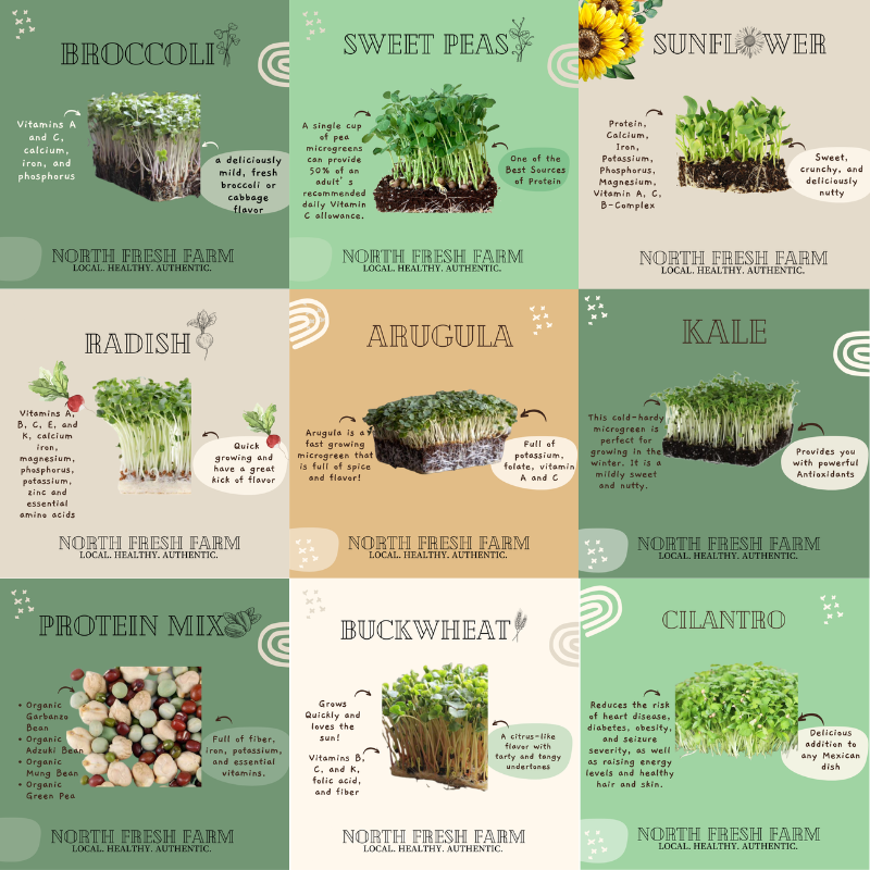 Microgreens Seeds