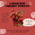 Large Red Cherry Tomato - Garden Seed