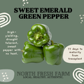 Sweet Emerald Green Pepper - Garden Seed
