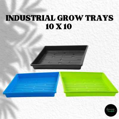 10x10 Industrial Grow Trays