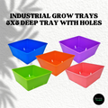 5x5 Industrial Grow Trays