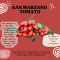 San Marzano Tomato - Garden Seed