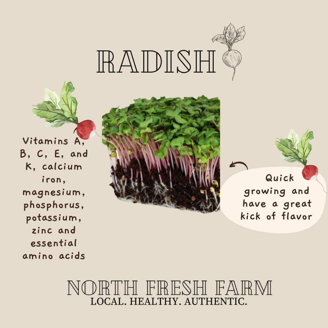 Radish Microgreens Seeds