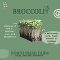 Broccoli Microgreens Seeds