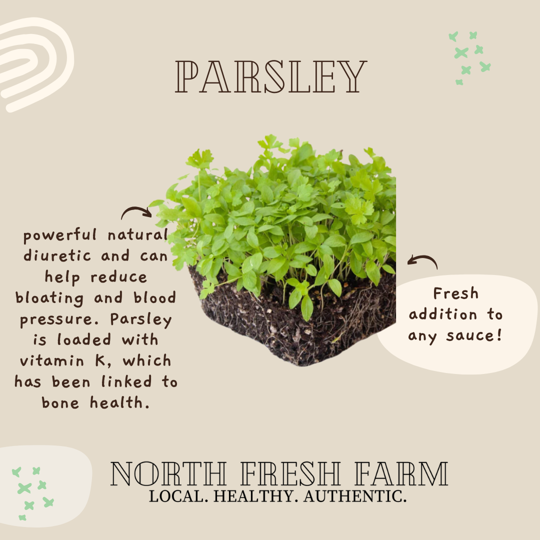 Parsley Microgreens Seeds