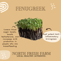 Fenugreek Microgreens Seeds