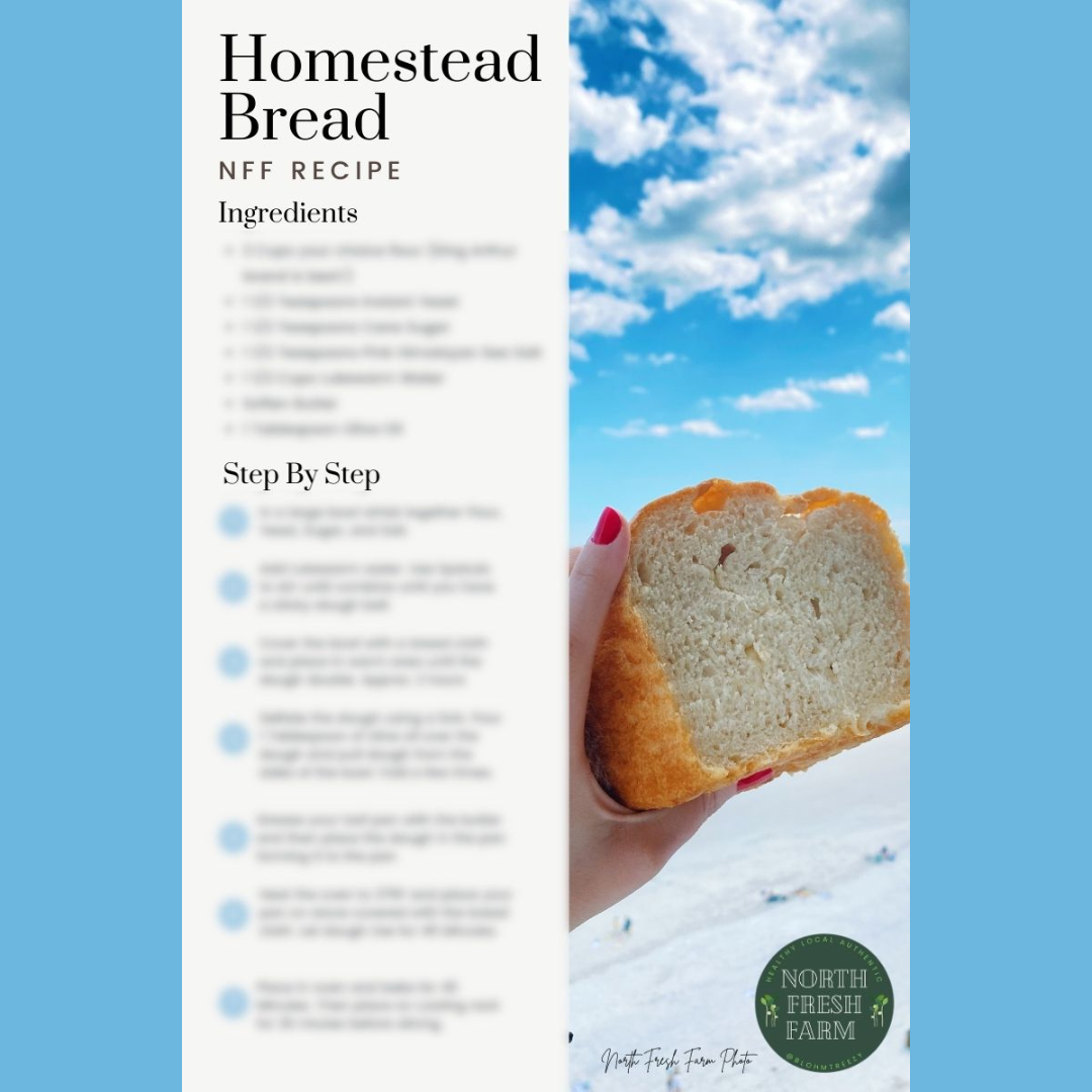 North Fresh BREAD Recipe AND More - DIGITAL DOWNLOAD