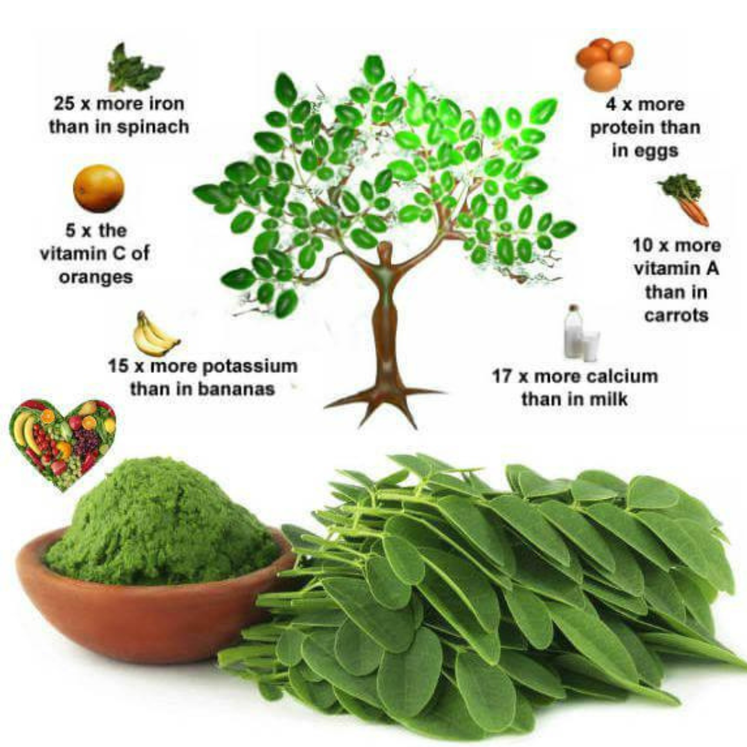 Moringa Seeds