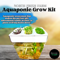Aquaponic Microgreens Grow System