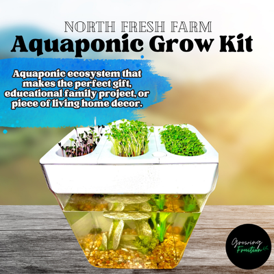 Aquaponic Microgreens Grow System