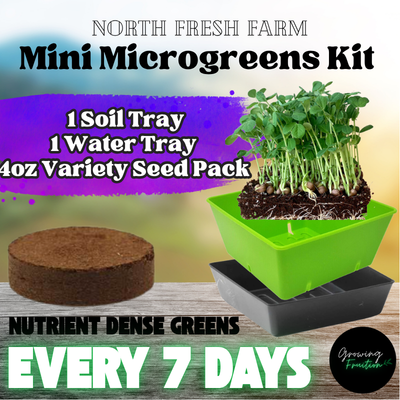 Microgreens Mini Grow Kit
