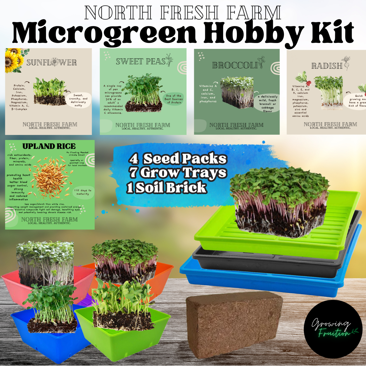 Rice & Microgreens Grow Kit