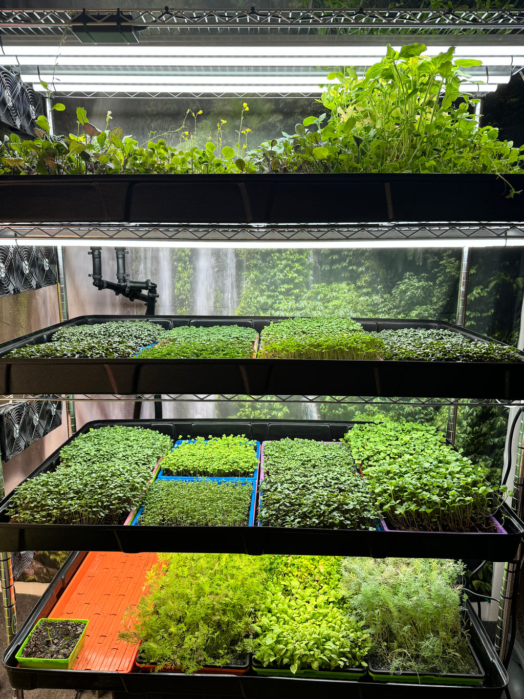 Automated Grow Rack - Vertical Grow System