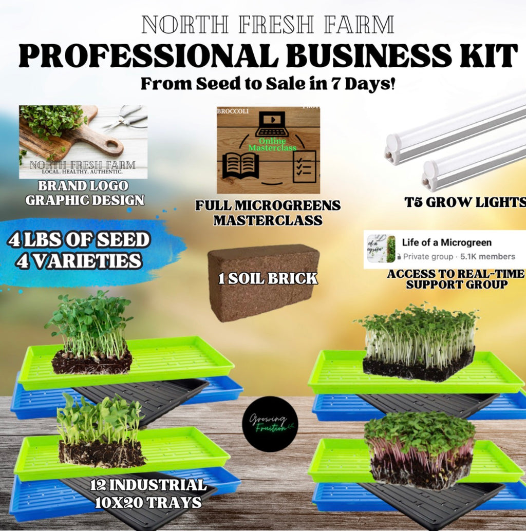 Professional Business Grow Kit (Masterclass + Graphic Design Included)