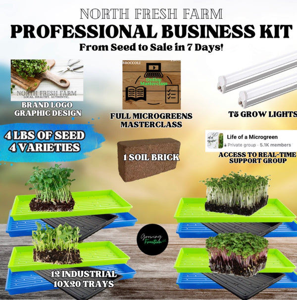 Professional Business Grow Kit (Masterclass + Graphic Design Included)