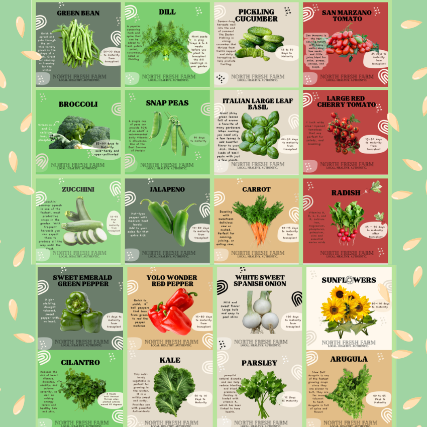 Full Garden Starter Seed Pack
