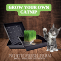 Grow Your Own Catnip: Catnip Grow Kit